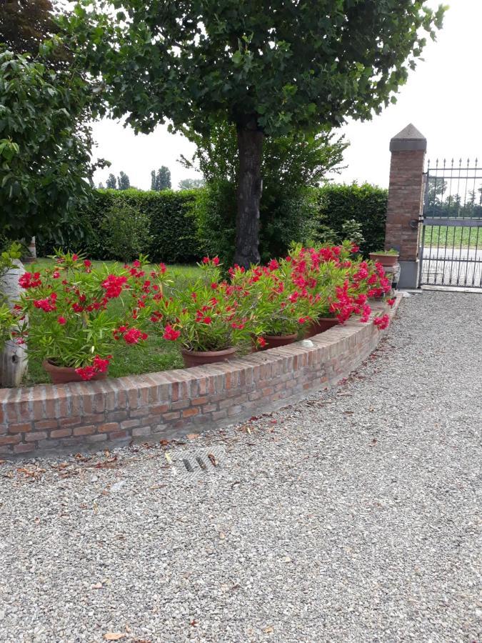 Al Sit Ed Marino Bed & Breakfast Castel Maggiore Dış mekan fotoğraf